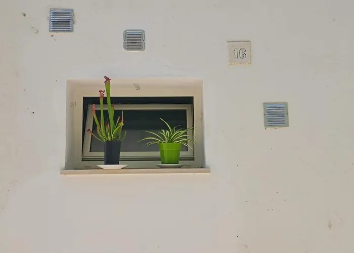 Two-room In The Historic Center アパート *