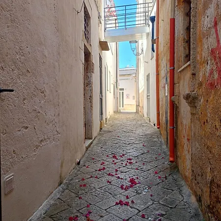 Two-room In The Historic Center * Cutrofiano