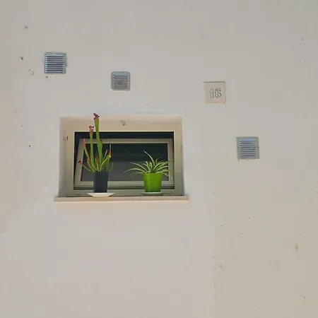 Two-room In The Historic Center Appartement *